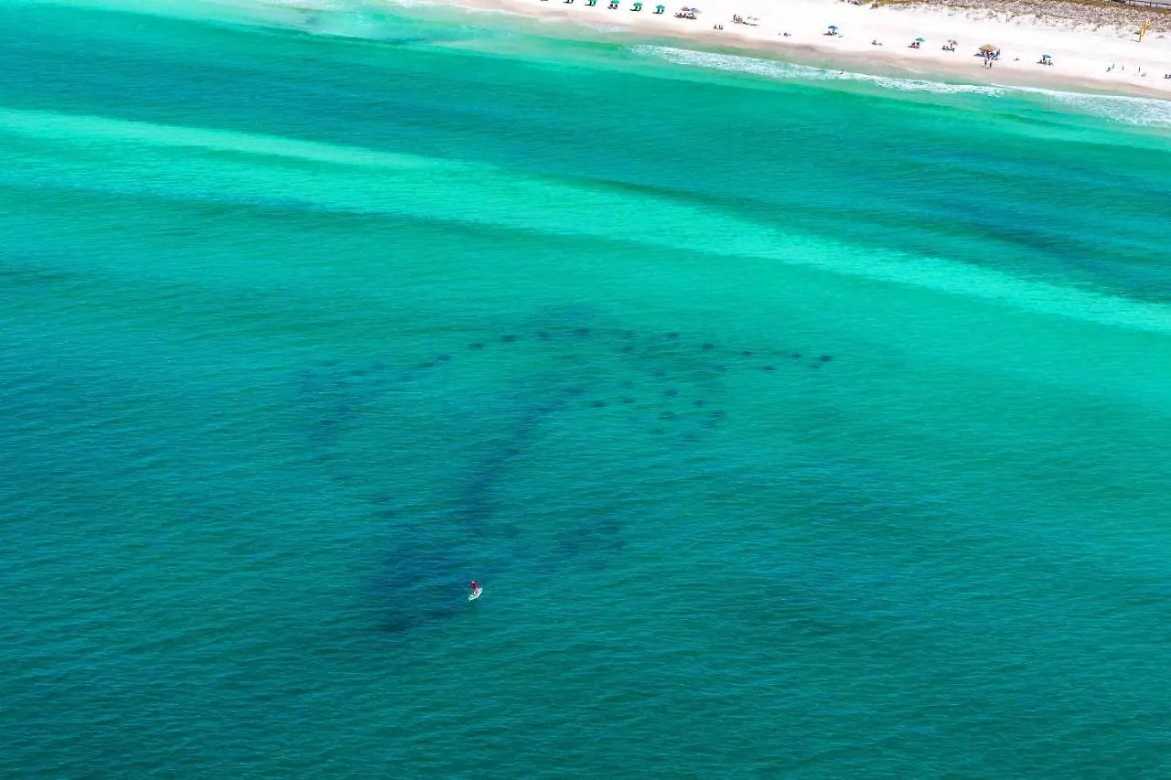 Little House On The Beach Destin United States